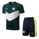 Maglia Formazione Palmeiras Set Completo 2022 2023 Verde Bianco