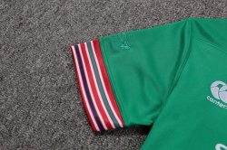 Maglia di Formazione Rugby British and Irish Lions 2017 2018 Verde Maglia di Formazione Rugby British and Irish Lions 2017 2018 Verde