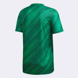 Thailandia Maglia Irlanda Nord Home 2020 Verde Thailandia Maglia Irlanda Nord Home 2020 Verde