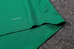 Maglia di Formazione Rugby British and Irish Lions 2017 2018 Verde Maglia di Formazione Rugby British and Irish Lions 2017 2018 Verde