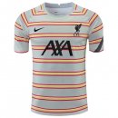 Thailandia Maglia Liverpool Pre Match 2022 Grigio Thailandia Maglia Liverpool Pre Match 2022 Grigio