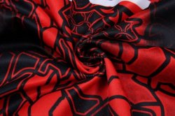 Thailandia Maglia Crusaders 2017 2018 Rosso