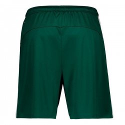 Pantaloni Palmeiras Away 2019 2020 Verde