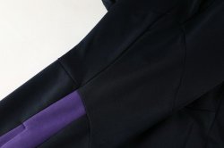 Felpa Manchester City 2019 2020 Porpora Blu