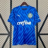 Thailandia Maglia Palmeiras Portiere 2024 2025 Thailandia Maglia Palmeiras Portiere 2024 2025