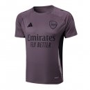 Maglia Formazione Arsenal 2025 2026 Porpora Grigio Maglia Formazione Arsenal 2025 2026 Porpora Grigio