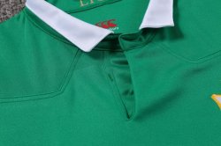 Maglia di Formazione Rugby British and Irish Lions 2017 2018 Verde Maglia di Formazione Rugby British and Irish Lions 2017 2018 Verde