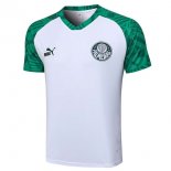 Maglia Formazione Palmeiras 2023 2024 Bianco Verde Maglia Formazione Palmeiras 2023 2024 Bianco Verde