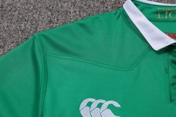 Maglia di Formazione Rugby British and Irish Lions 2017 2018 Verde Maglia di Formazione Rugby British and Irish Lions 2017 2018 Verde