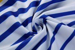 Thailandia Maglia Stormers Home 2017 2018 Blu Thailandia Maglia Stormers Home 2017 2018 Blu