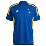 Thailandia Maglia Training Juventus 2021 2022 Blu