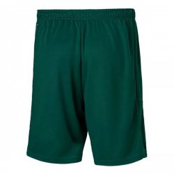 Pantaloni Palmeiras Away 2020 2021 Verde