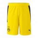 Pantaloni Borussia Dortmund Away 2020 2021 Giallo Pantaloni Borussia Dortmund Away 2020 2021 Giallo