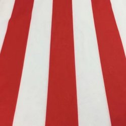 Thailandia Maglia CD Guadalajara Home 100th Thailandia Maglia CD Guadalajara Home 100th