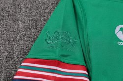 Maglia di Formazione Rugby British and Irish Lions 2017 2018 Verde Maglia di Formazione Rugby British and Irish Lions 2017 2018 Verde